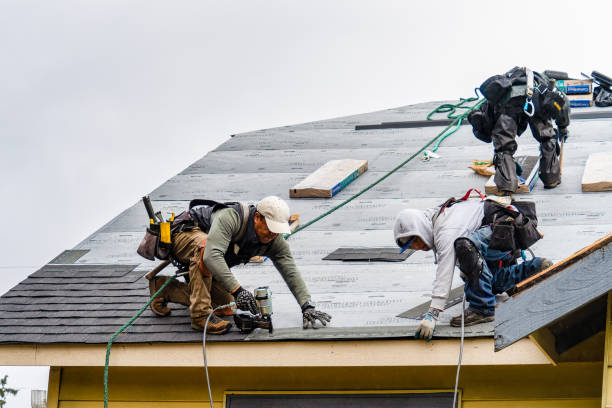 Professional Storm Damage Roof Repair technician working in Randolph, KS